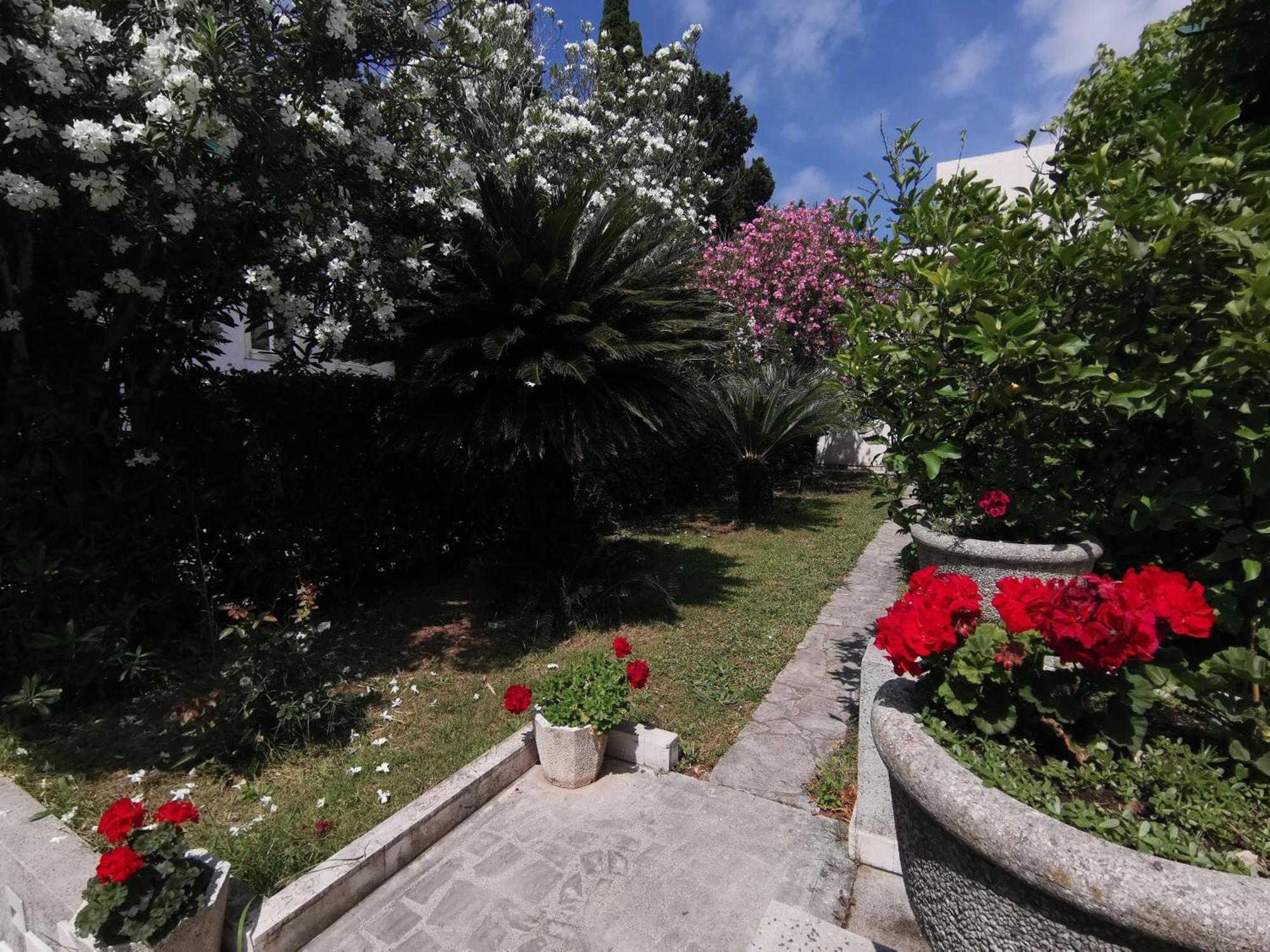 Apartments Maris Garden Petrovac Exterior photo